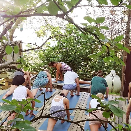 Bed & Breakfast Surf Camp San Sebastian Partyhostel *