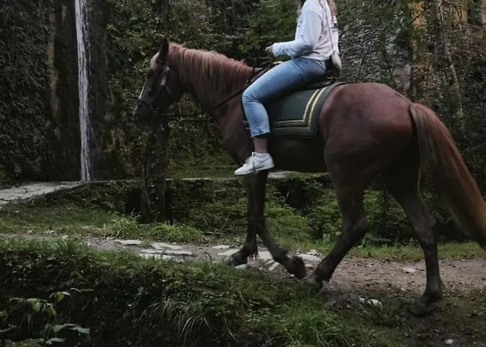 Surf Camp San Sebastian Partyhostel Bed & Breakfast Aia