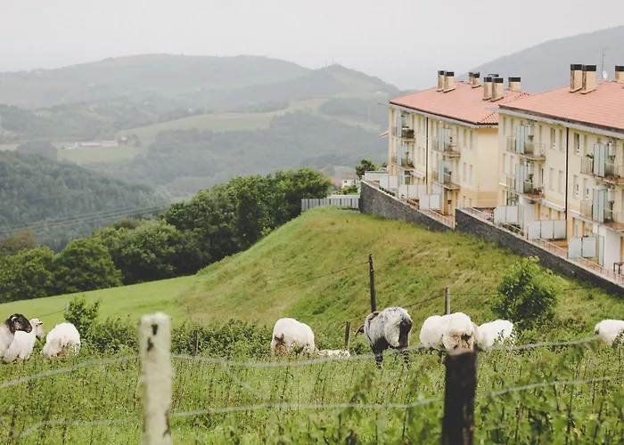 Bed & Breakfast Surf Camp San Sebastian Partyhostel Aia